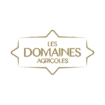 Design sans titre - 2025-03-31T203334.843
